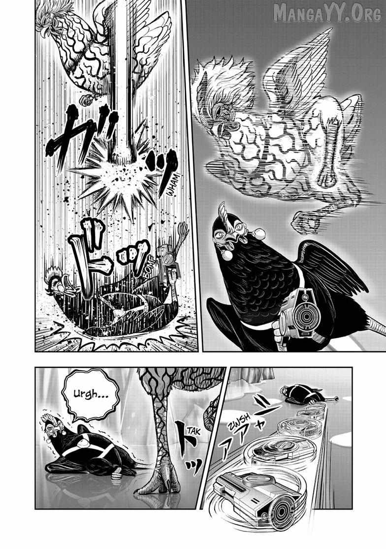 Rooster Fighter Chapter 58 page 14 - 
