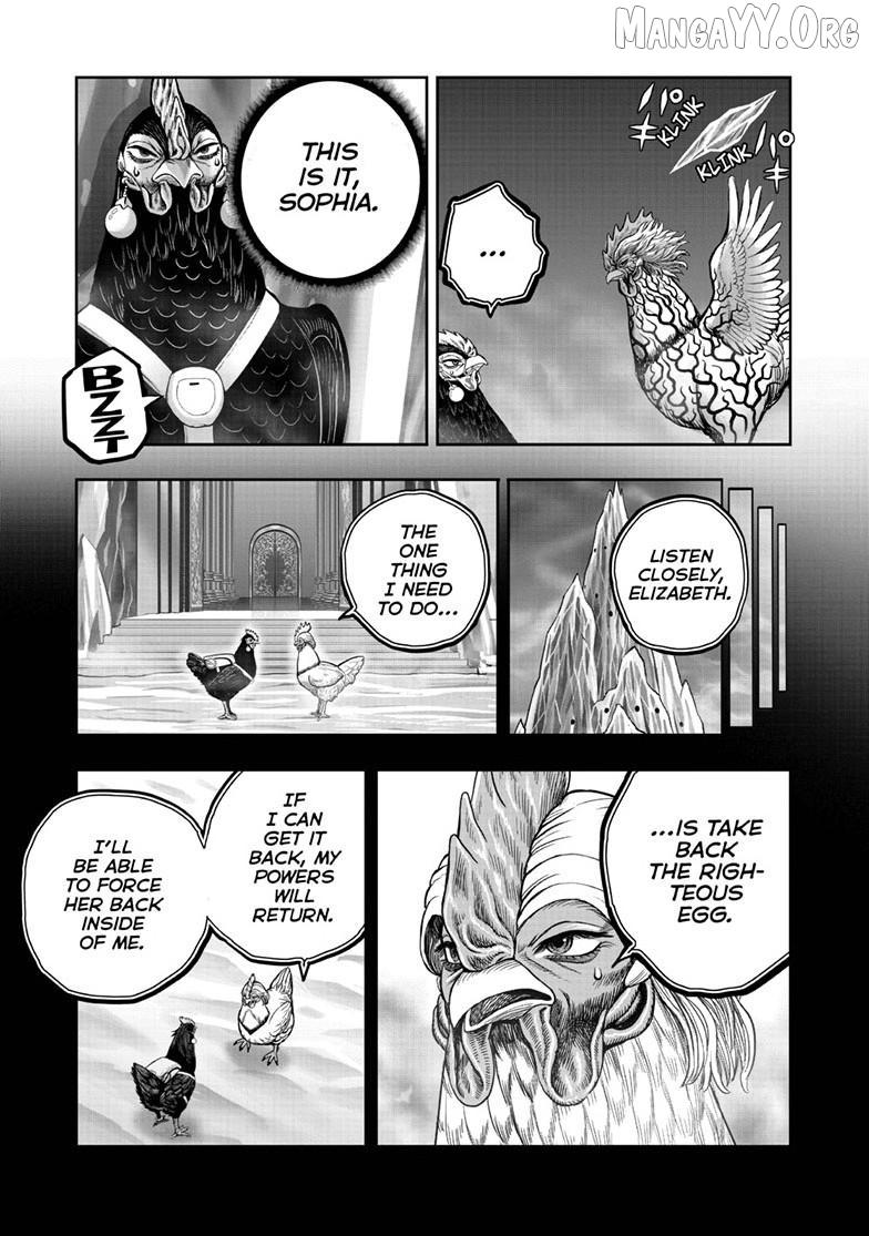 Rooster Fighter Chapter 58 page 17 - 