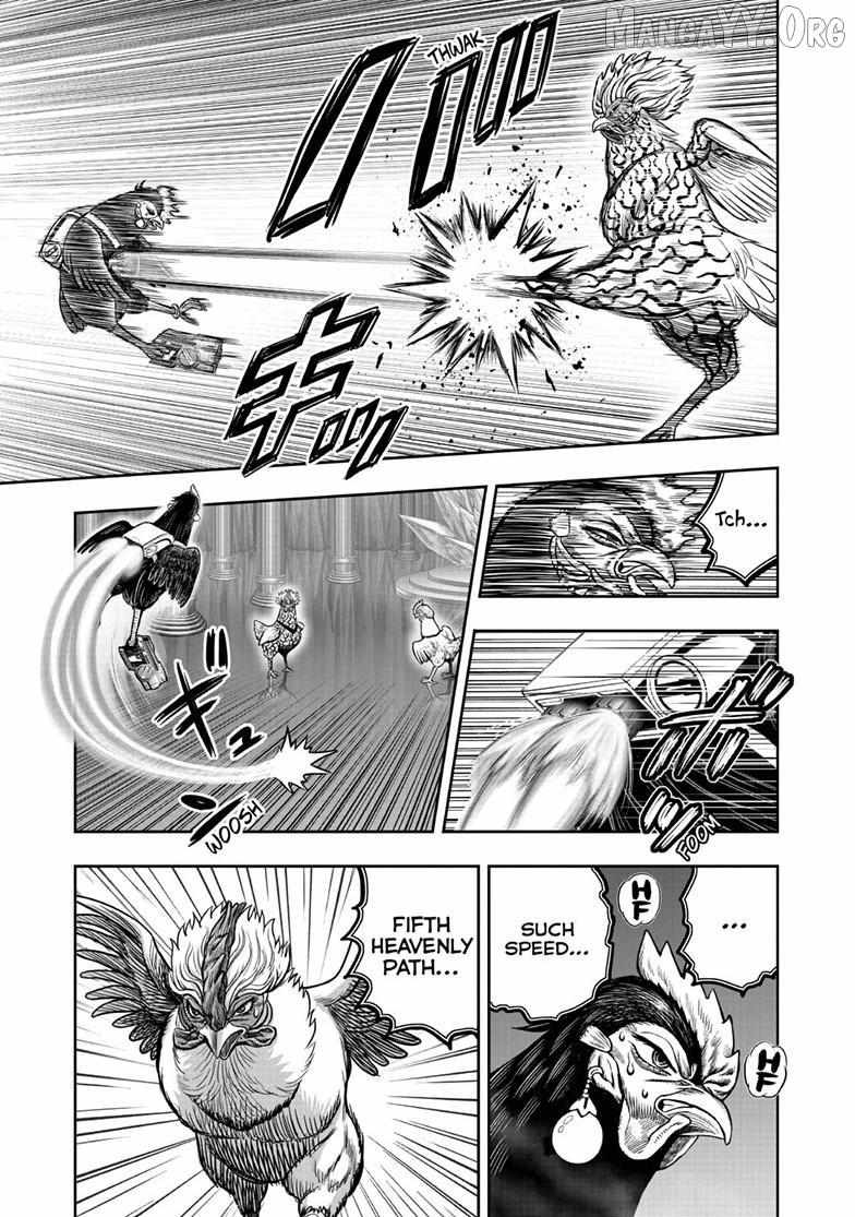 Rooster Fighter Chapter 58 page 3 - 