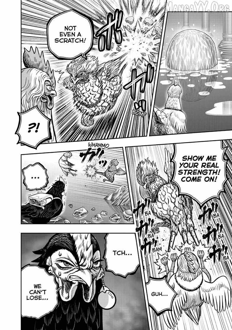 Rooster Fighter Chapter 58 page 8 - 