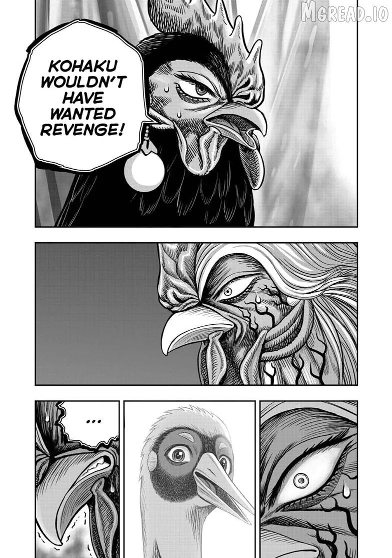Rooster Fighter Chapter 59 page 12 - 