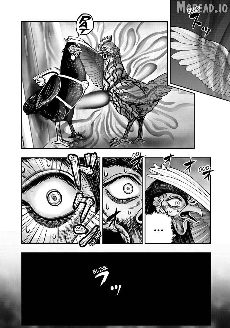 Rooster Fighter Chapter 59 page 16 - 
