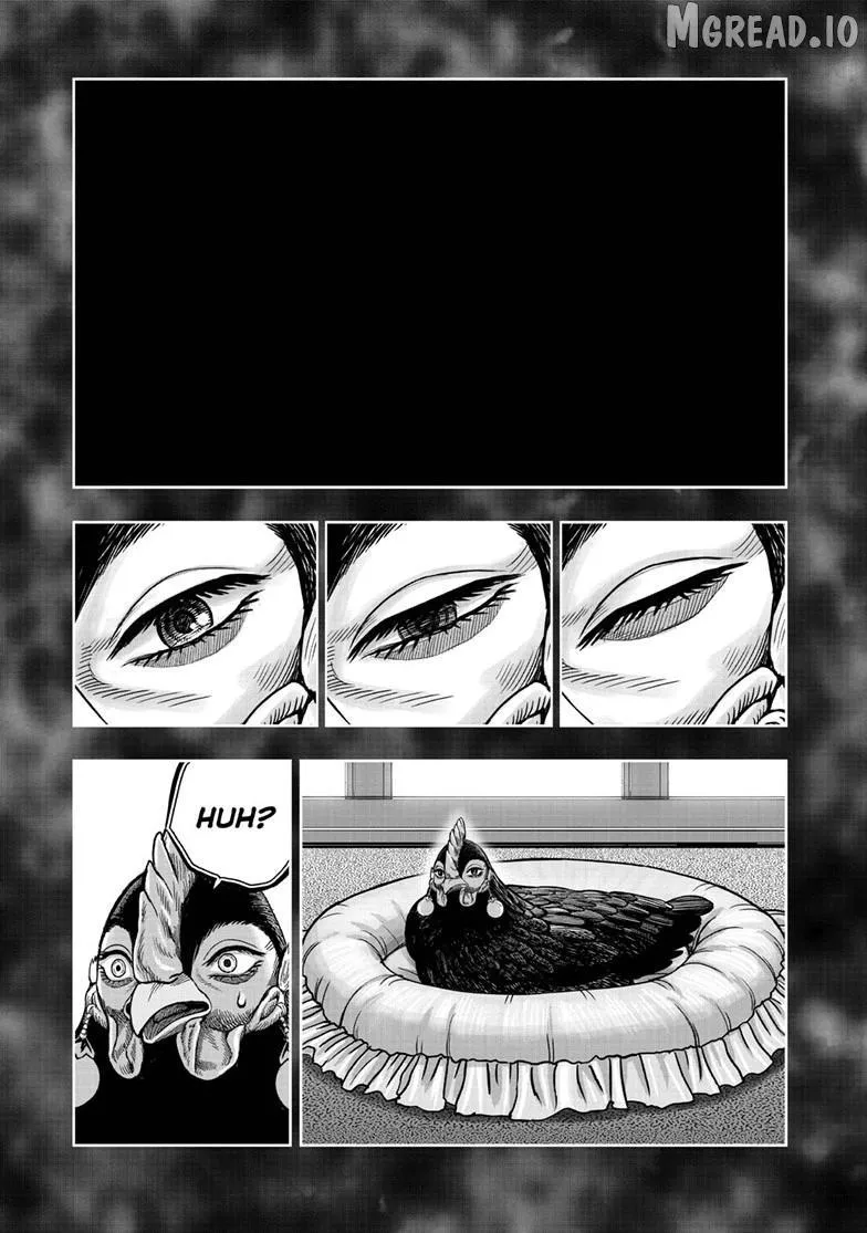 Rooster Fighter Chapter 59 page 17 - 