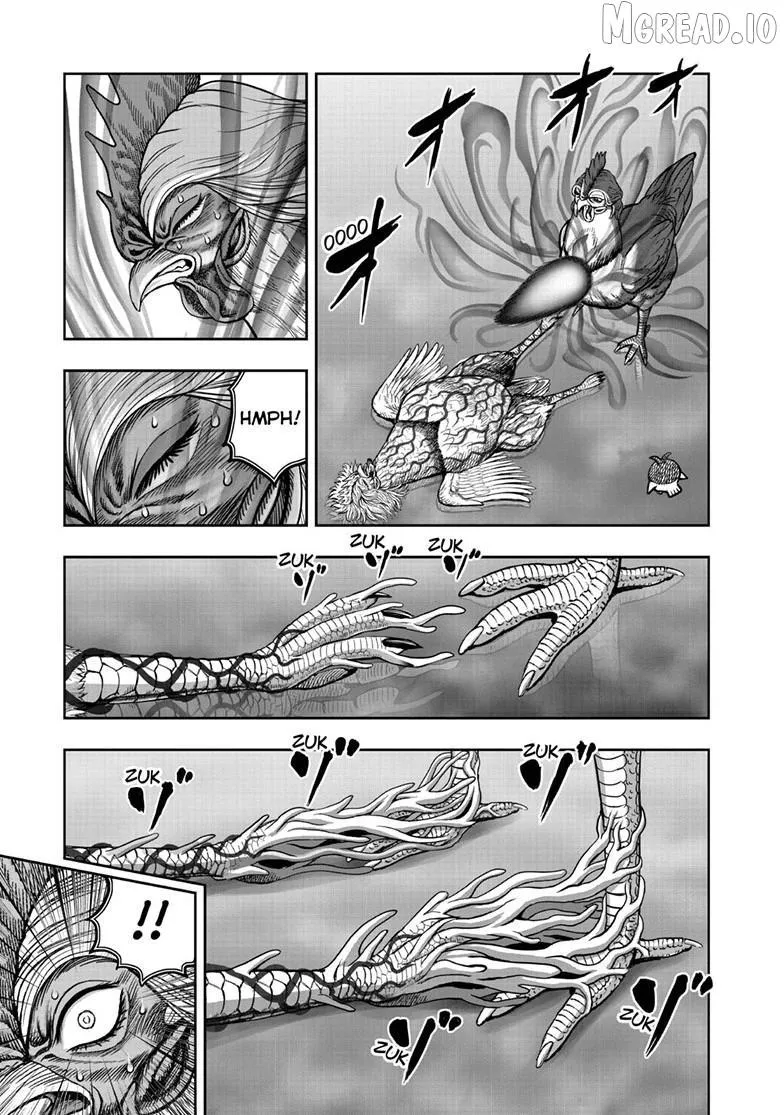 Rooster Fighter Chapter 59 page 5 - 