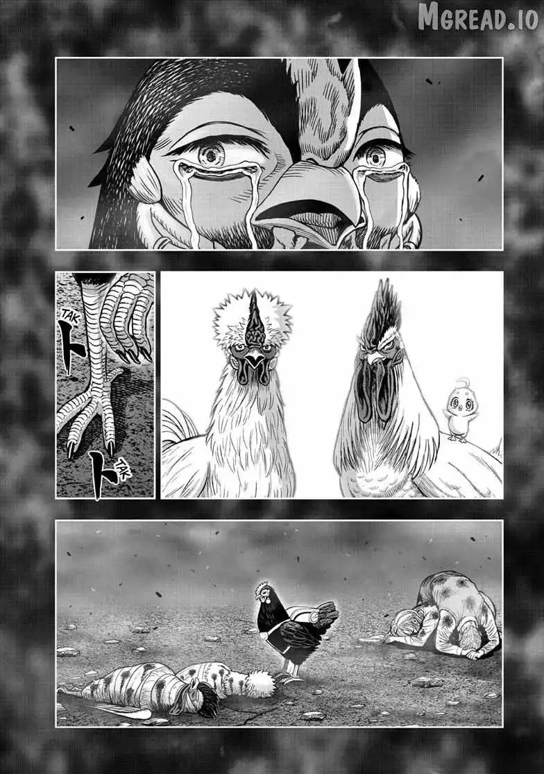 Rooster Fighter Chapter 60 page 22 - 