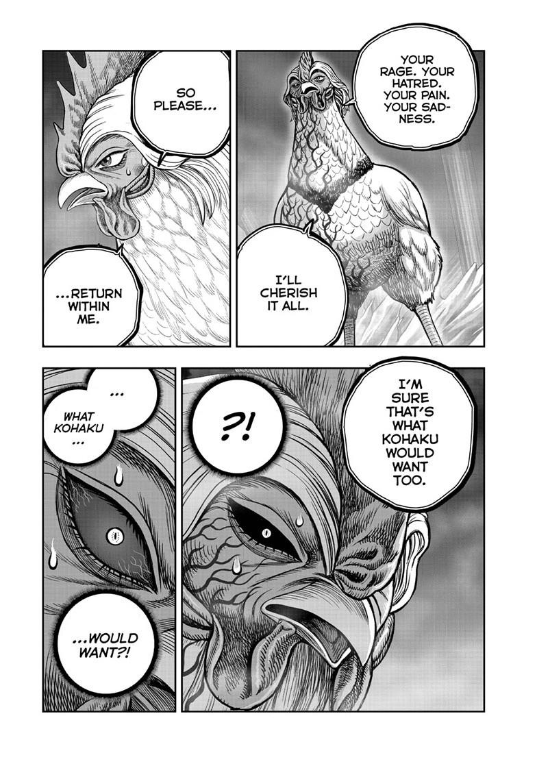 Rooster Fighter Chapter 61.1 page 12 - 