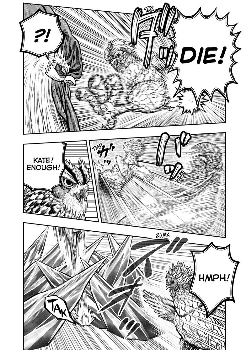 Rooster Fighter Chapter 61.1 page 31 - 
