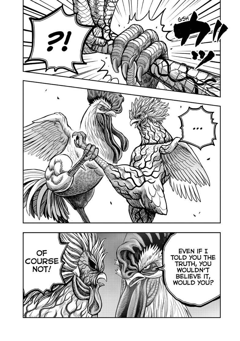 Rooster Fighter Chapter 61.1 page 33 - 