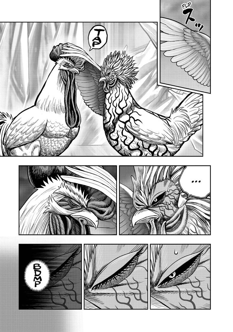 Rooster Fighter Chapter 61.1 page 36 - 