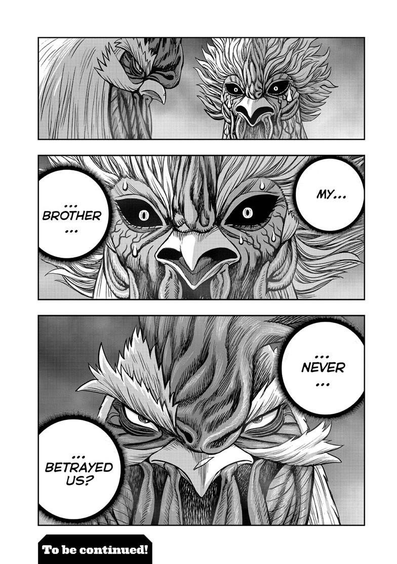 Rooster Fighter Chapter 61.1 page 49 - 
