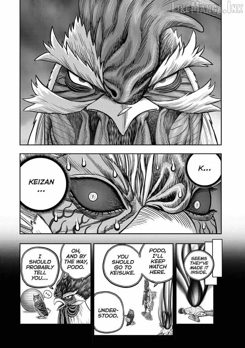 Rooster Fighter Chapter 61 page 21 - 
