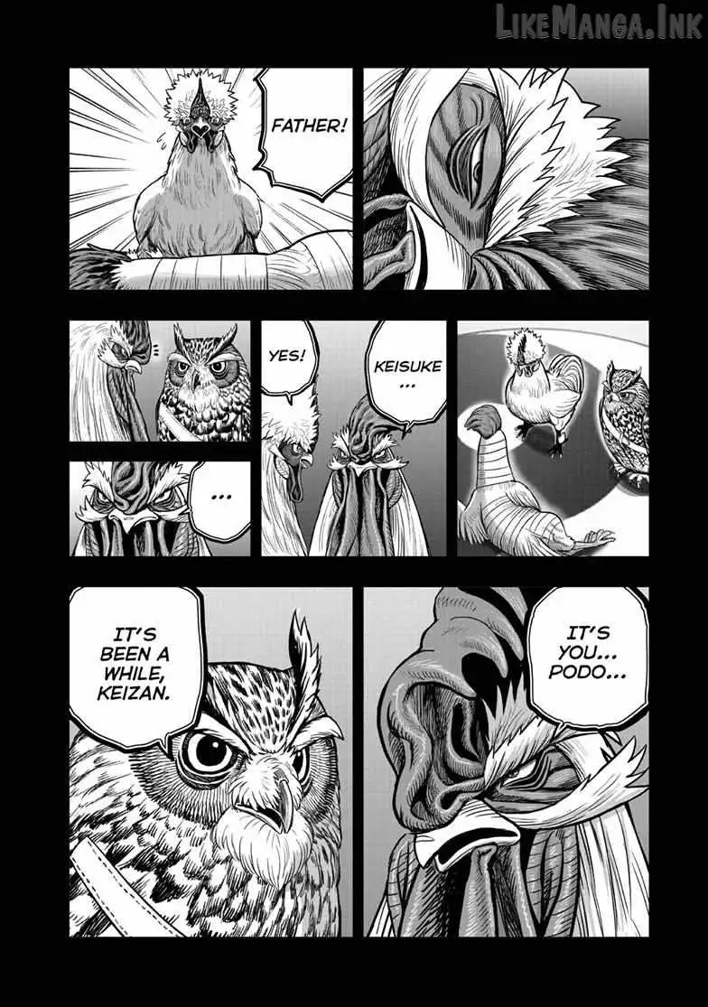 Rooster Fighter Chapter 61 page 28 - 
