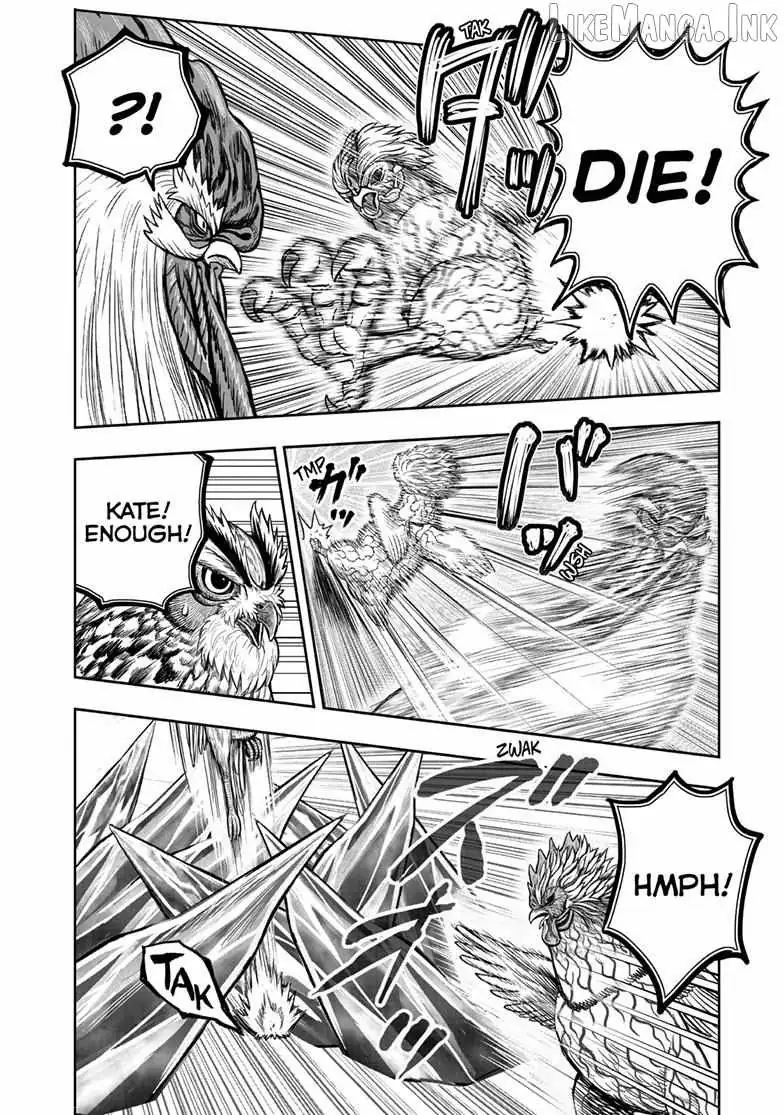 Rooster Fighter Chapter 61 page 30 - 