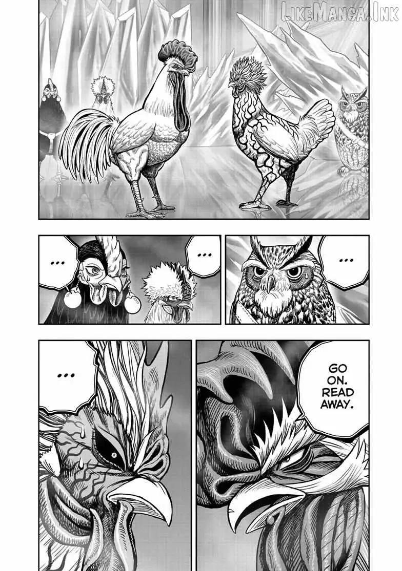 Rooster Fighter Chapter 61 page 34 - 