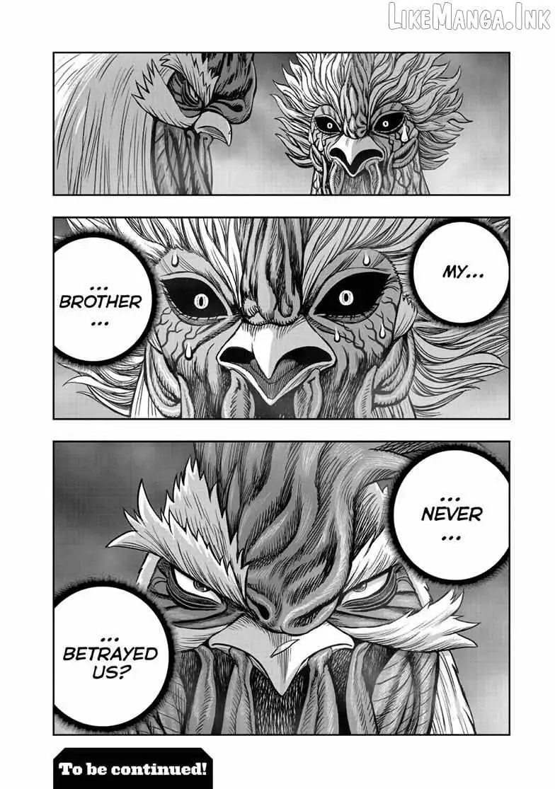 Rooster Fighter Chapter 61 page 48 - 