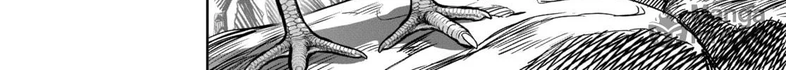 Rooster Fighter Chapter 8 page 40 - 