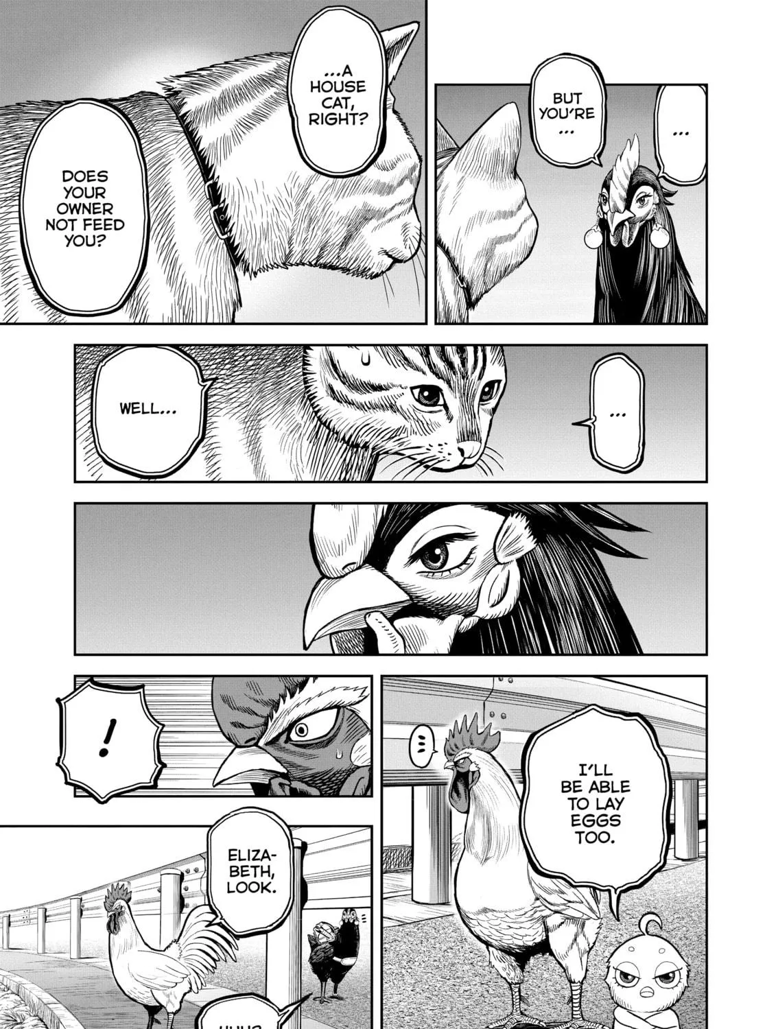 Rooster Fighter Chapter 9 page 17 - 