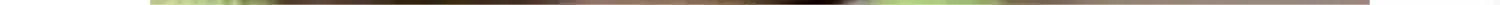 Royal Bridegroom Chapter 44 page 118 - 