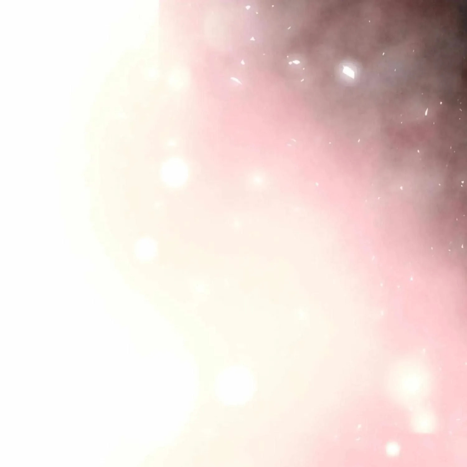 Royal Bridegroom Chapter 52 page 82 - 