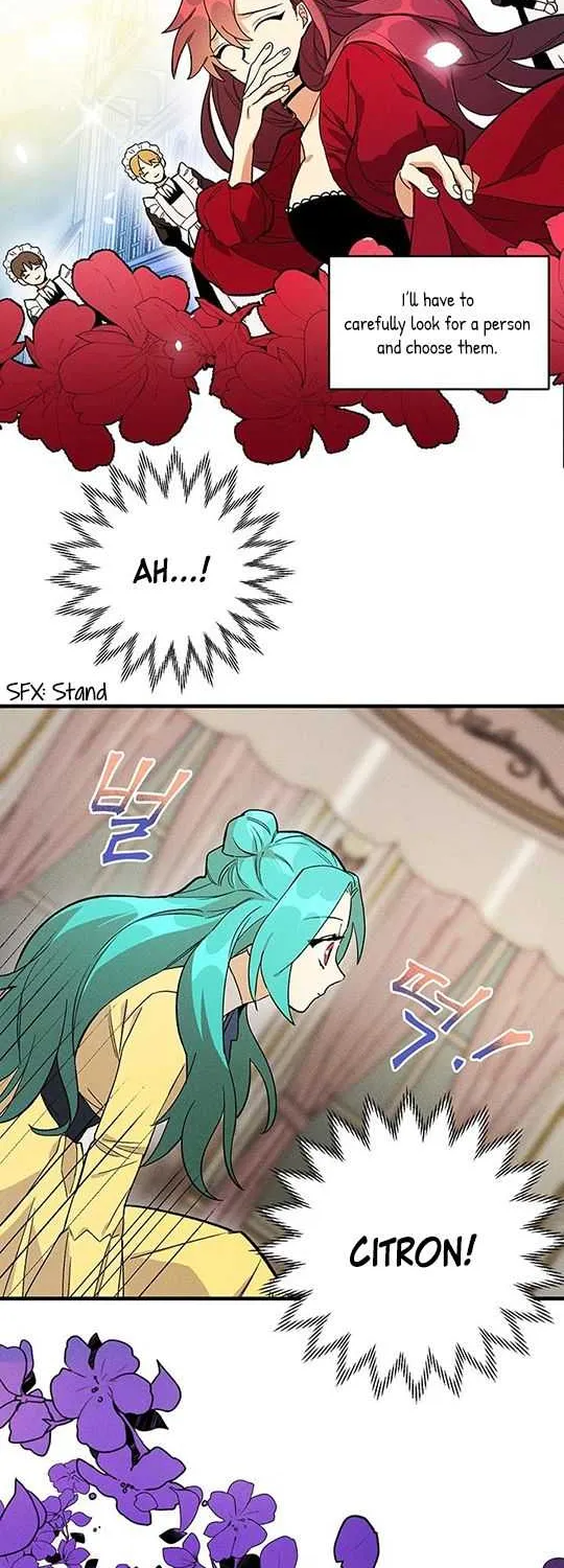 Royal Shop Of Young Lady Chapter 2 page 34 - 