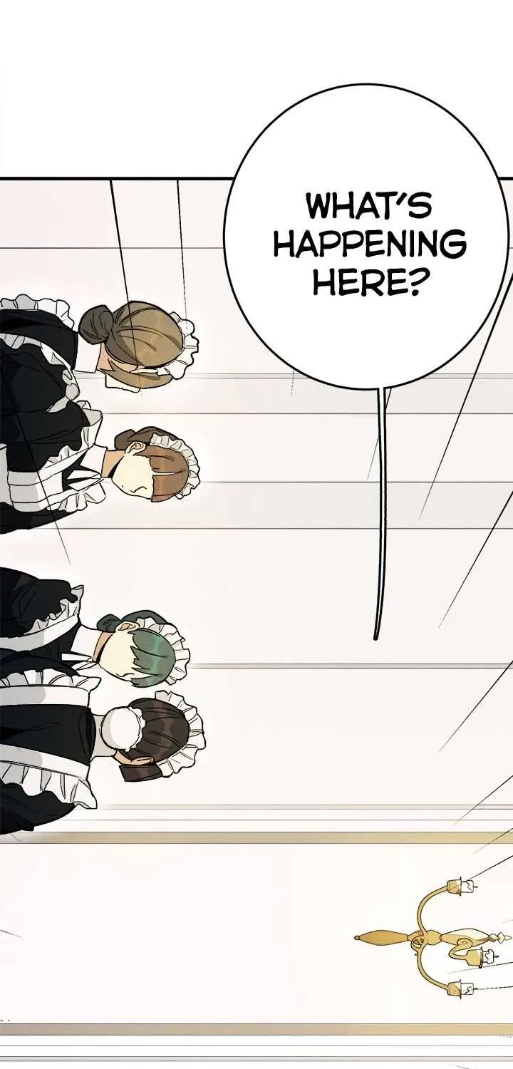 Royal Shop Of Young Lady Chapter 3 page 5 - 