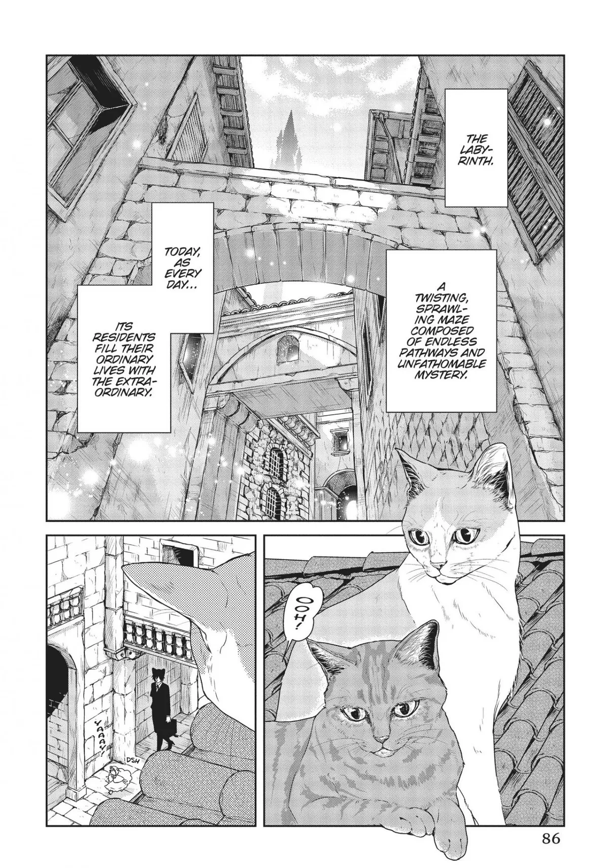 Rozi in the Labyrinth Chapter 3 page 2 - 
