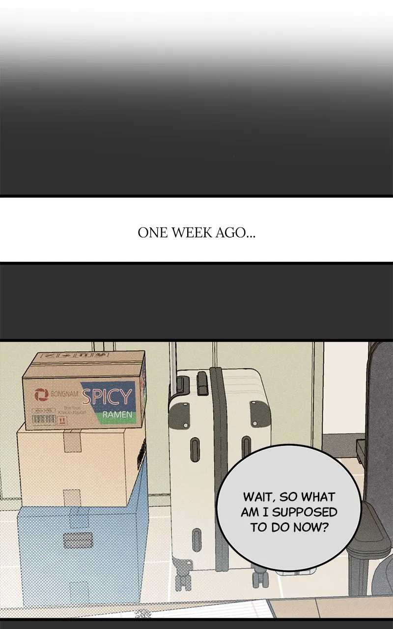 Rules for Dating Trash Chapter 1 page 78 - 