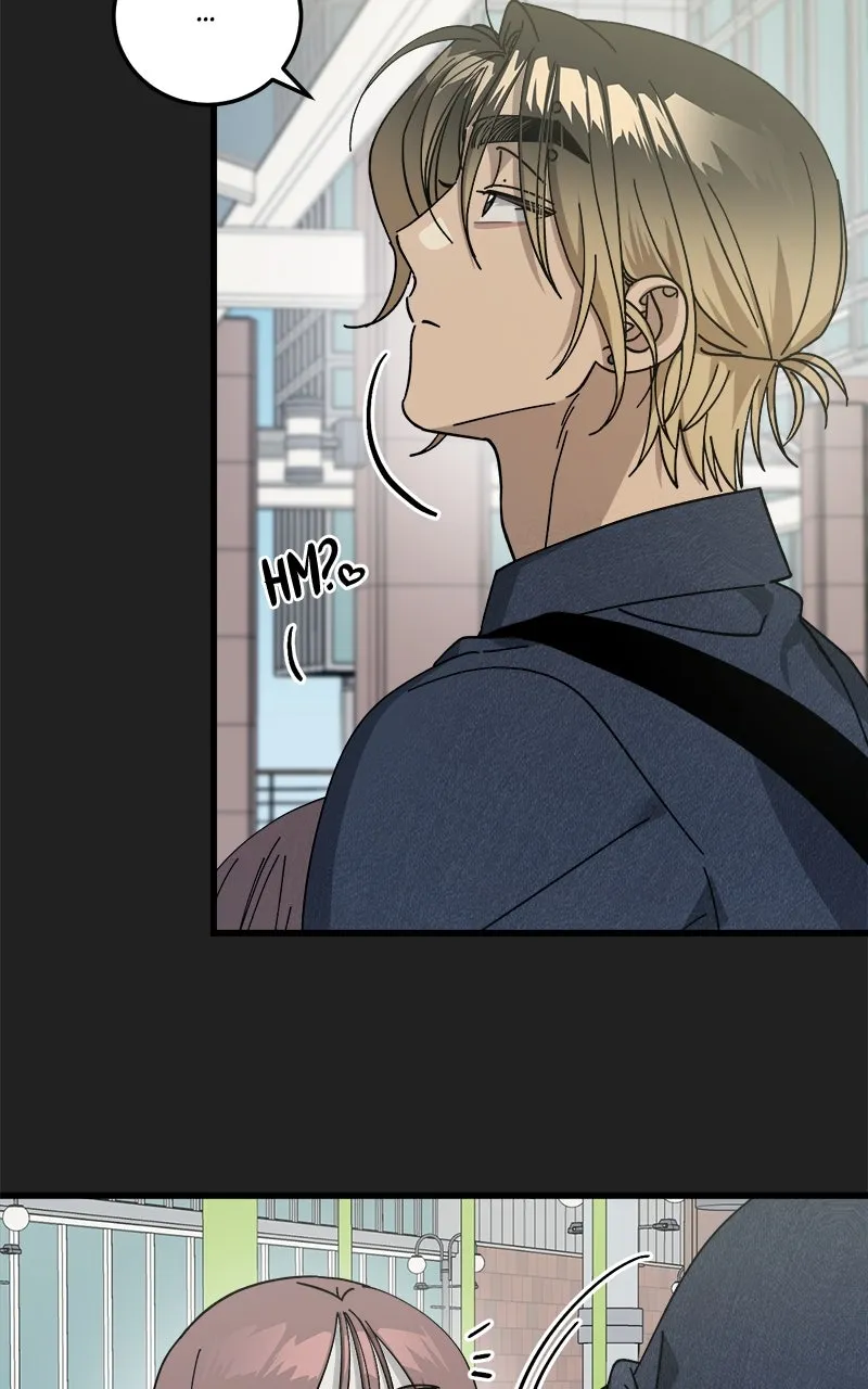 Rules for Dating Trash Chapter 16 page 41 - 