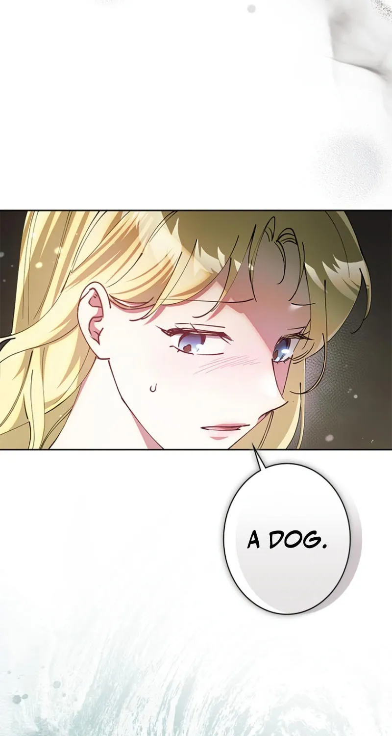 Run Away, From Me Chapter 24 page 71 - 
