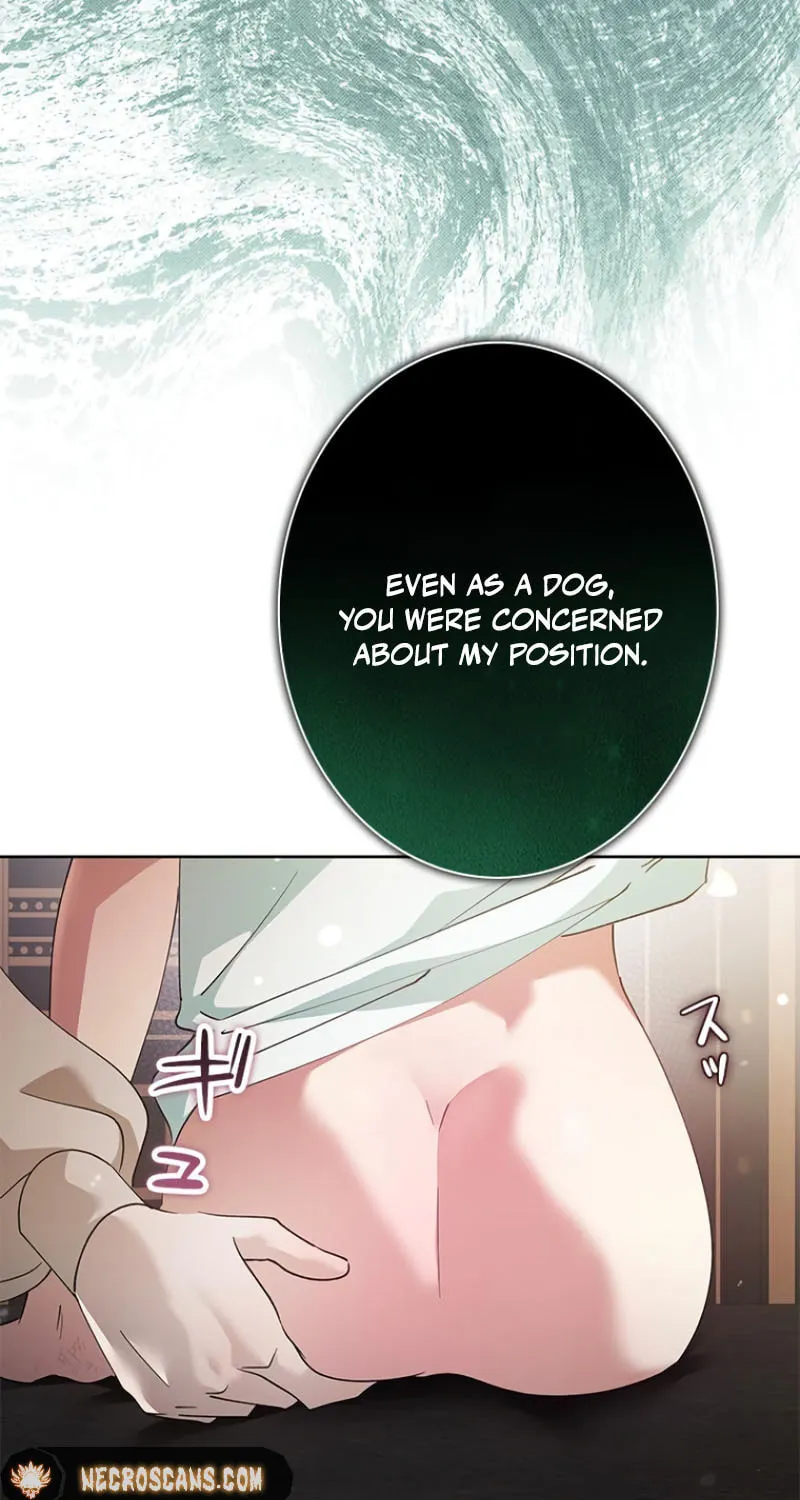 Run Away, From Me Chapter 24 page 77 - 