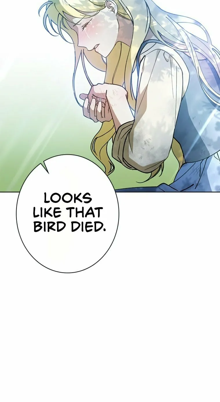 Run Away, From Me Chapter 4 page 66 - 