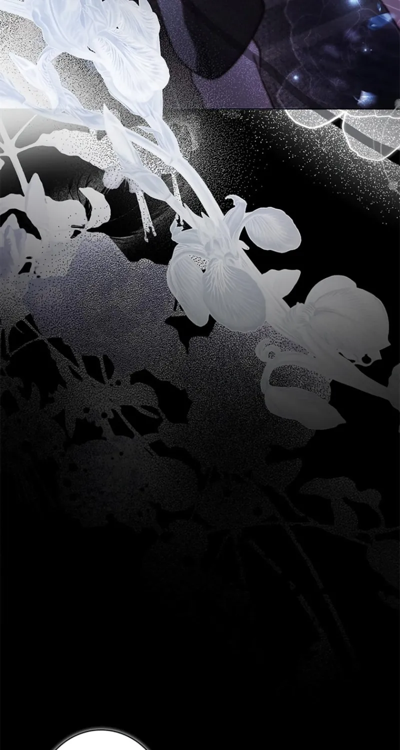 Run Away, From Me Chapter 7 page 5 - 