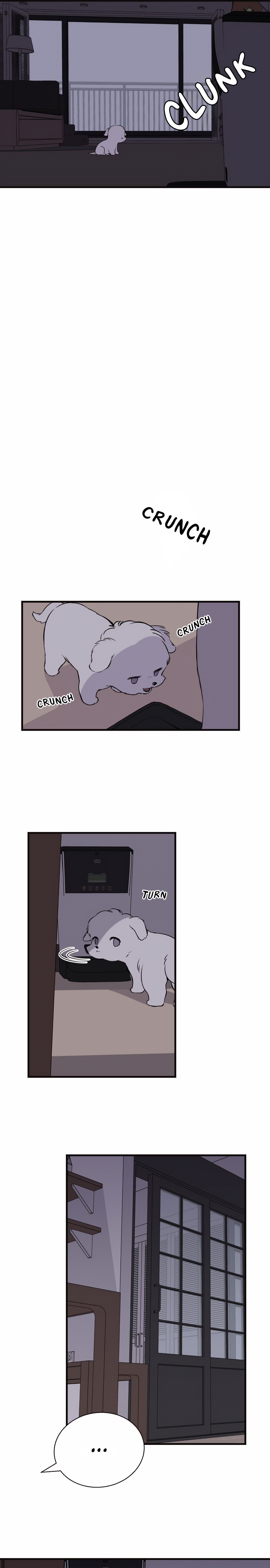 Run Like a Dog Chapter 1 page 14 - 