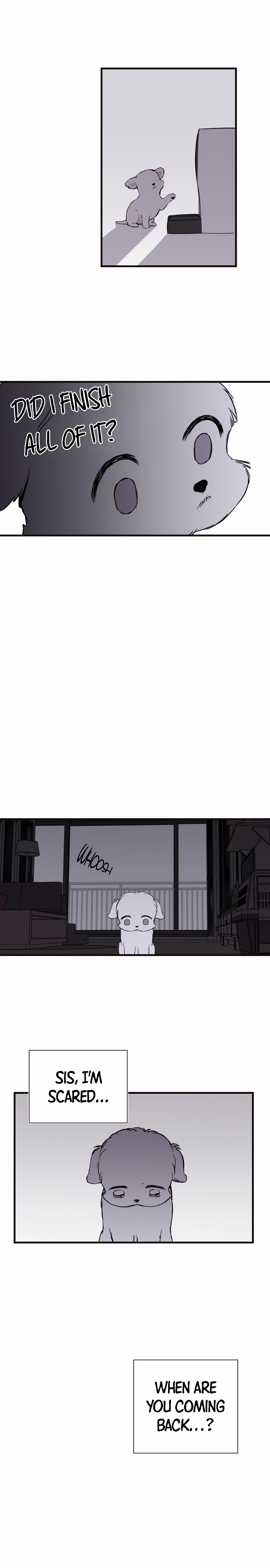 Run Like a Dog Chapter 1 page 17 - 