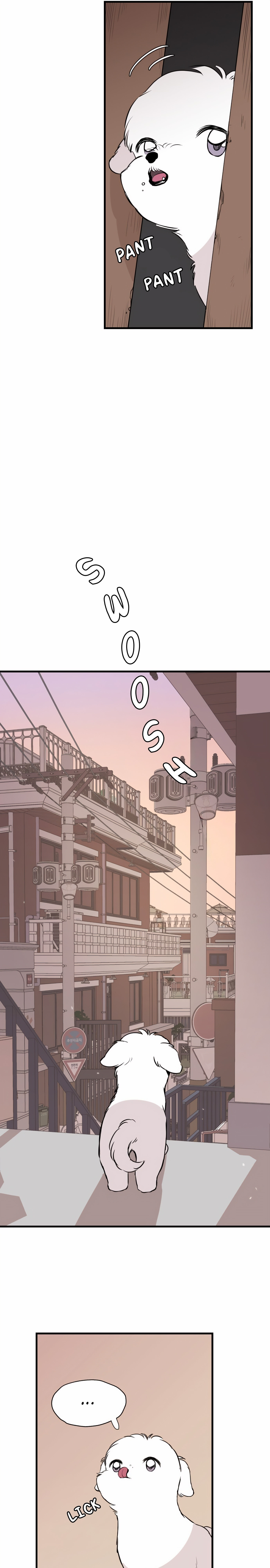 Run Like a Dog Chapter 1 page 24 - 