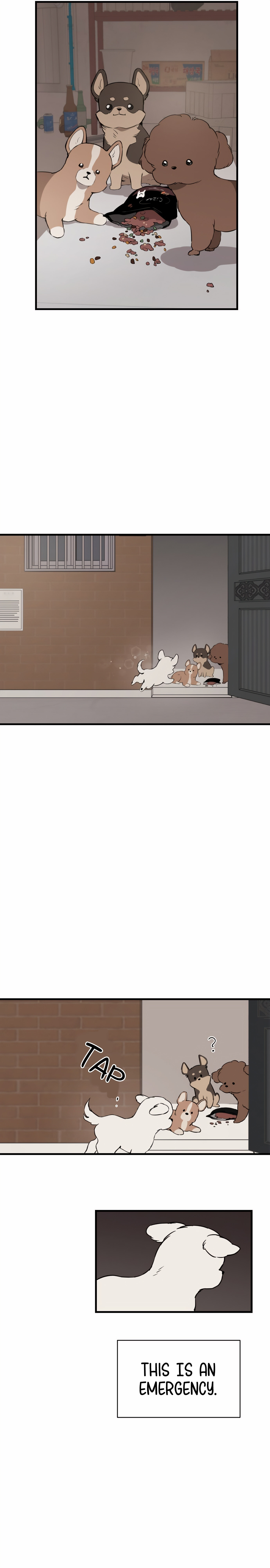 Run Like a Dog Chapter 1 page 34 - 