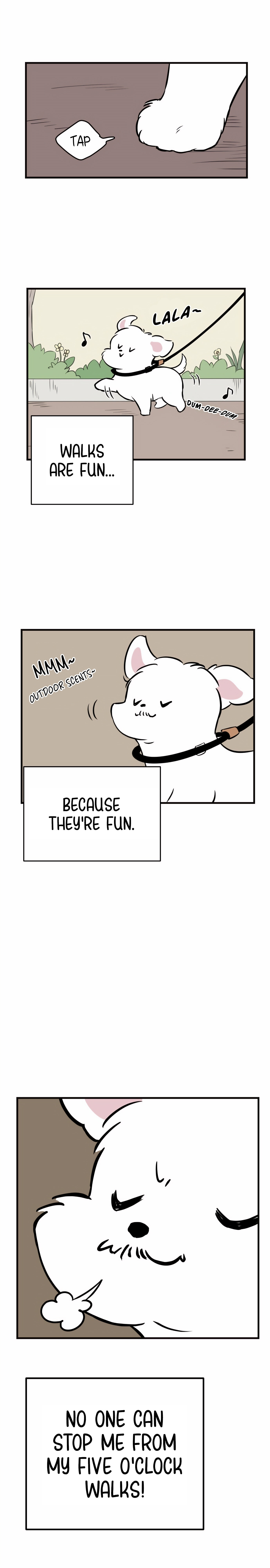 Run Like a Dog Chapter 1 page 5 - 