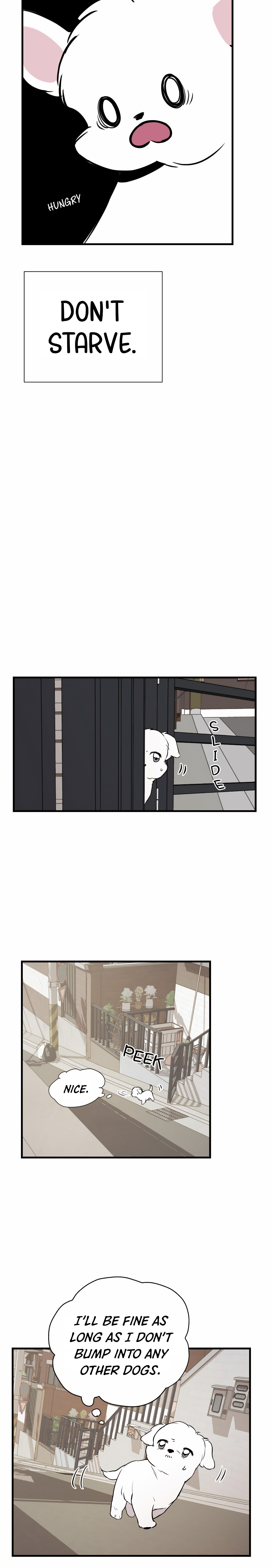 Run Like a Dog Chapter 2 page 13 - 