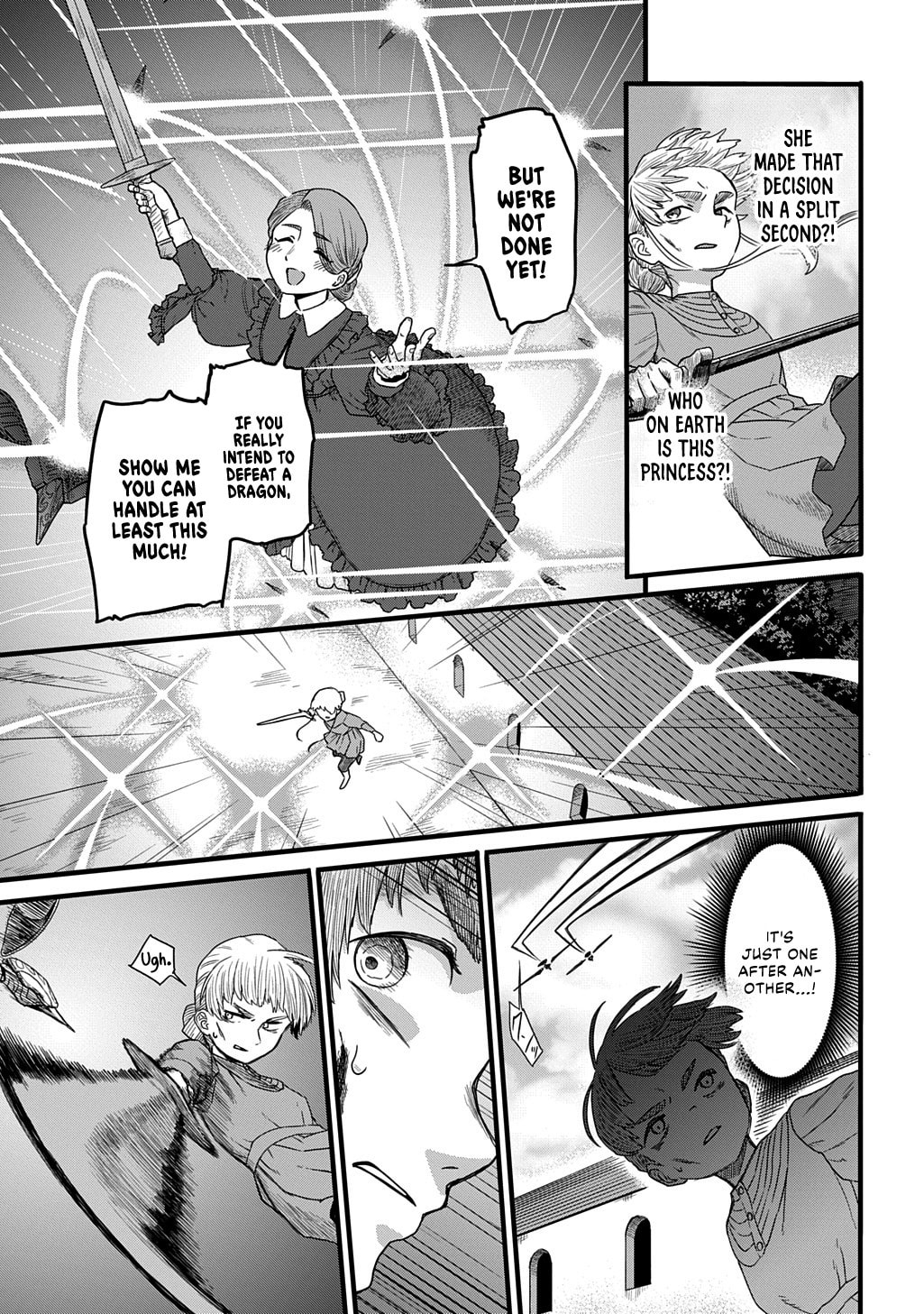 Ryuubatsu no Fiera Chapter 2 page 27 - 