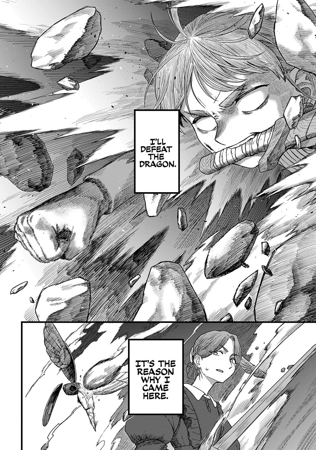 Ryuubatsu no Fiera Chapter 2 page 32 - 