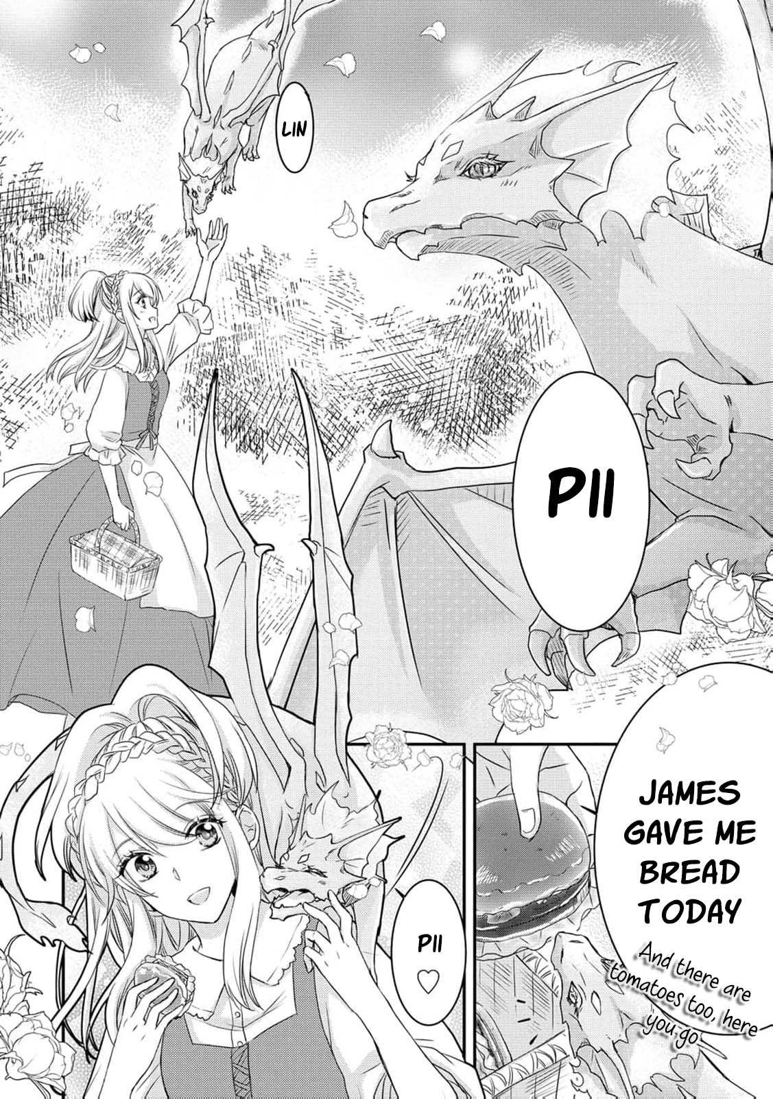 Ryuuheika no Okisaki wa Okotowari Shitai! Chapter 1 page 19 - 
