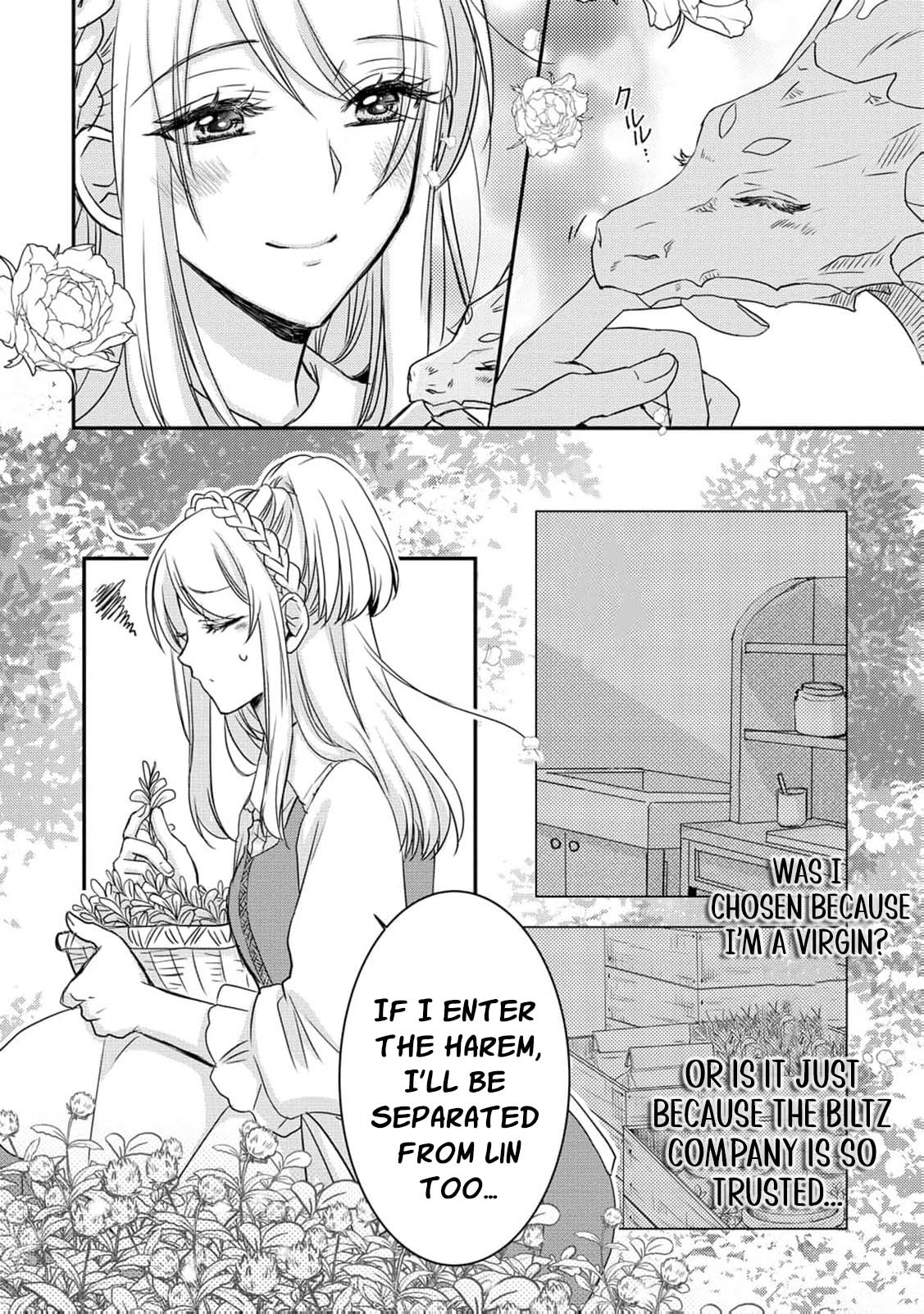 Ryuuheika no Okisaki wa Okotowari Shitai! Chapter 1 page 20 - 