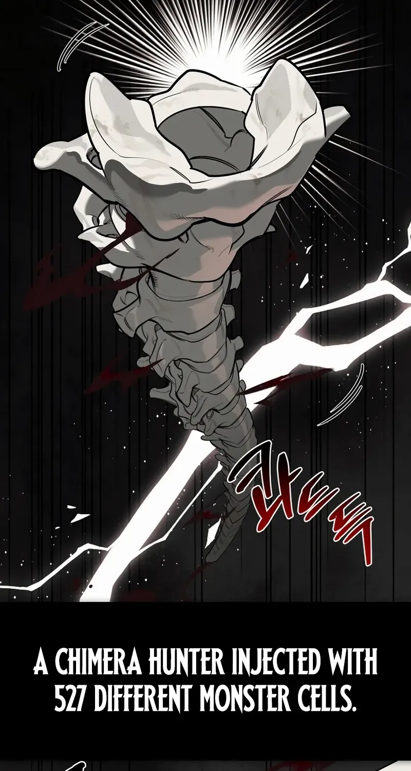 S-Class Hunter Heals with Monsters Chapter 1 page 197 - 