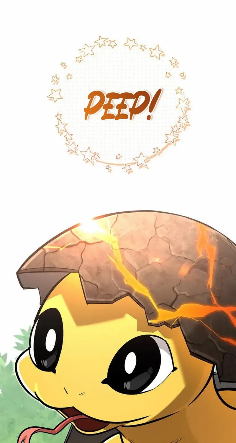 S-Class Hunter Heals with Monsters Chapter 12 page 44 - 