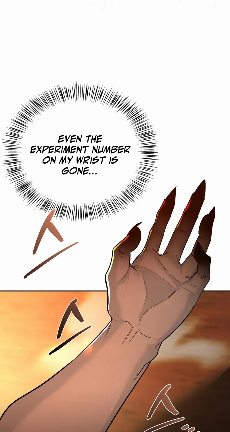 S-Class Hunter Heals with Monsters Chapter 2 page 5 - 