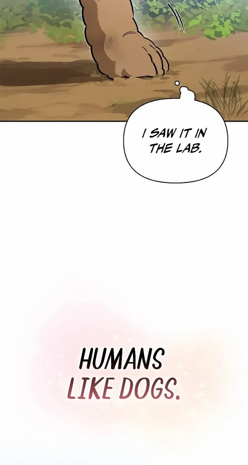S-Class Hunter Heals with Monsters Chapter 4 page 96 - 