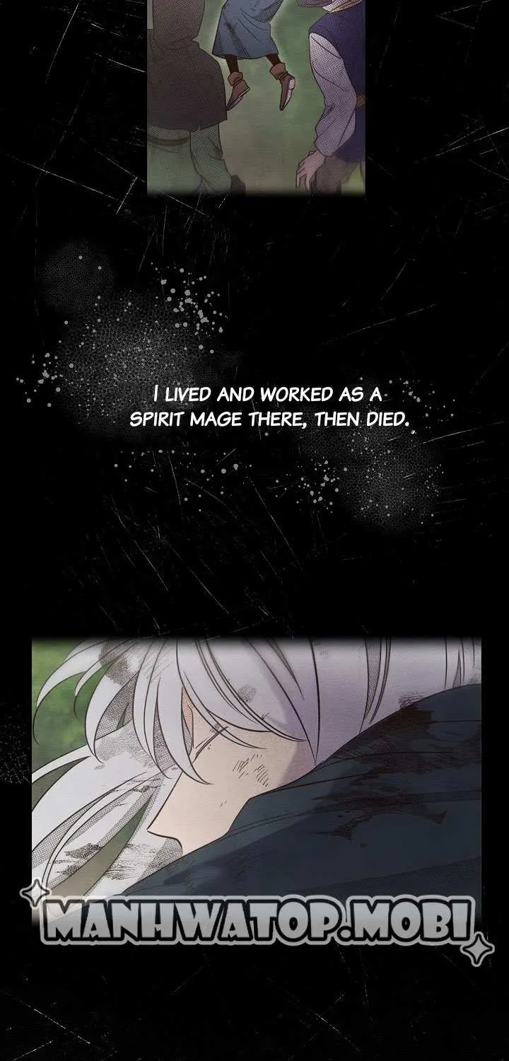 S-Class Spirit Master’s Taming Diary Chapter 1 page 25 - 