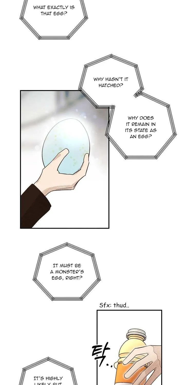 S-Class Spirit Master’s Taming Diary Chapter 1 page 5 - 