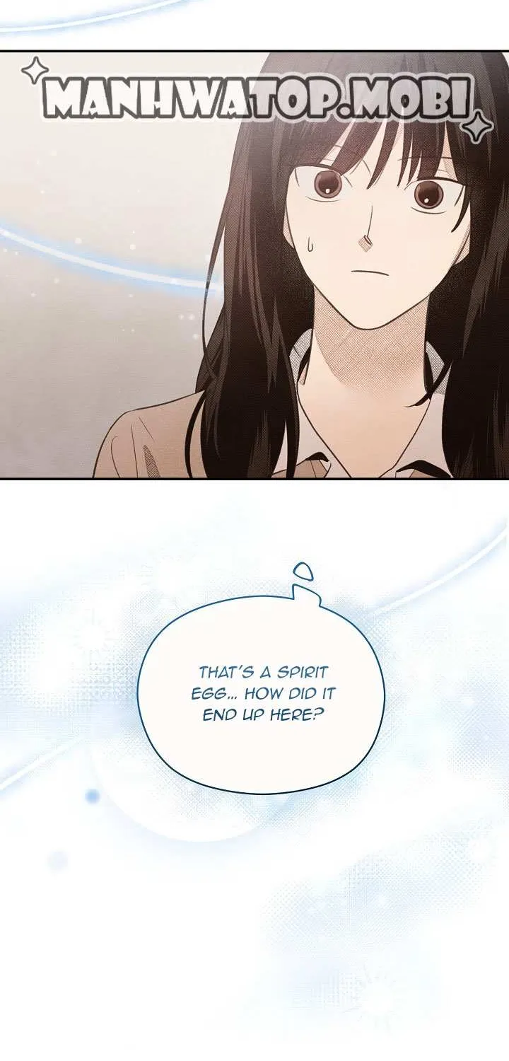 S-Class Spirit Master’s Taming Diary Chapter 1 page 68 - 