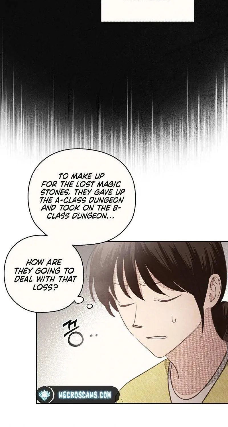 S-Class Spirit Master’s Taming Diary Chapter 11 page 39 - 